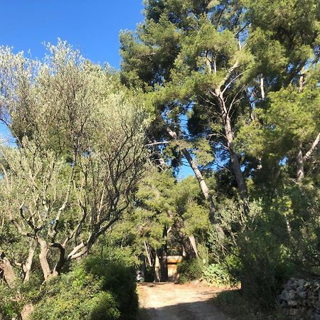 Les Pins Appartement Le Castellet  Buitenkant foto