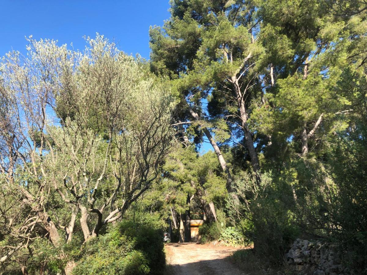 Les Pins Appartement Le Castellet  Buitenkant foto