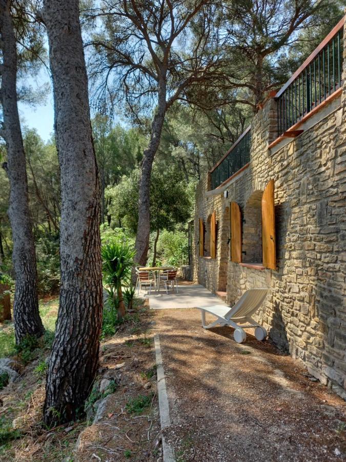 Les Pins Appartement Le Castellet  Buitenkant foto