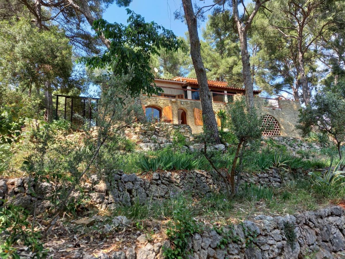 Les Pins Appartement Le Castellet  Buitenkant foto